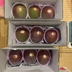 沖縄県産 レッドキーツマンゴー 2キロ　中玉のサムネイル