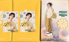 FANTASTICS SUNFLOWER 木村慧人 アクスタ フォトカ