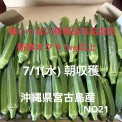 【朝採れ新鮮 規格品、Ｂ品混合 沖縄県宮古島産オクラ1kg】のサムネイル