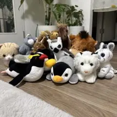 動物ぬいぐるみセット