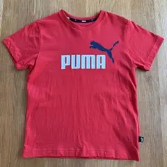 Item thumbnail for item f94eba0b-b760-460f-bf5f-03308c0ce4f8