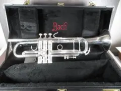 2026年最新】BACH 180MLの人気アイテム - メルカリ