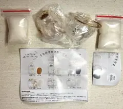 うちの子けだまだま　ノーマル　シャム