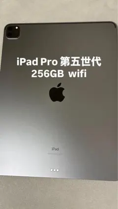 【美品】iPad Pro (12.9インチ) 第5世代 256GB Wi-Fi