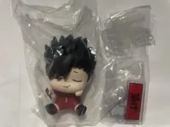 ハイキュー!! 黒尾鉄朗 ハピふぃぎゅっ