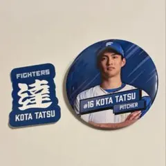 2026年最新】ファイターズガチャの人気アイテム - メルカリ