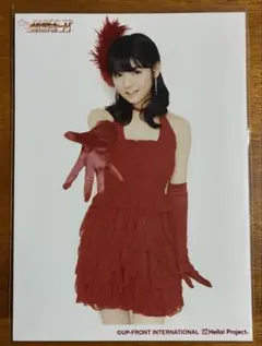 モーニング娘。 道重さゆみ L判 公式生写真12 - メルカリ