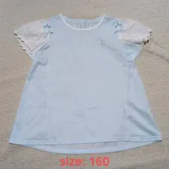 KUMIKYOKU Tシャツ 160 ストライプ リボンのサムネイル