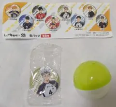 ハイキュー 木兎光太郎 缶バッジ