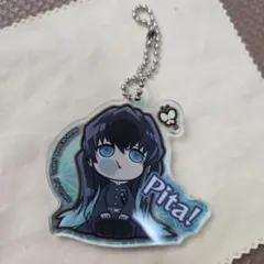 鬼滅の刃 ぴたでふぉめ 時透無一郎