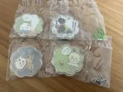 きゃらシャカ ハチワレ