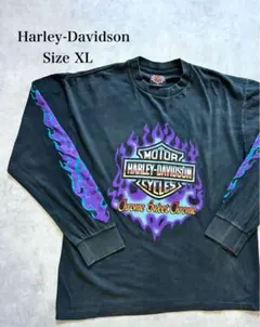 Harley-Davidson ロンT XL デイトナ ファイヤーのサムネイル