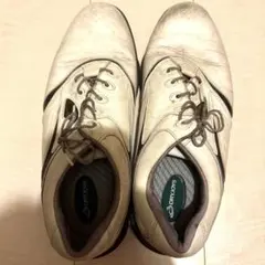FootJoy DRYJOYS ゴルフシューズ メンズ　28.5cm