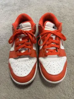 NIKE DUNK NG SL 488345-101 25cm - メルカリ