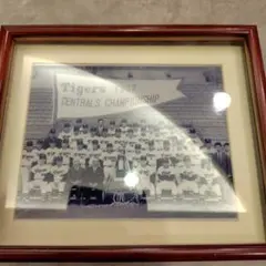 阪神タイガース 1962年 優勝記念 フォトフレームのサムネイル