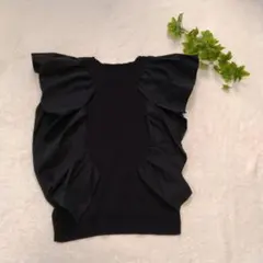 ヘレンチア　フリルサマーニット　カットソーのサムネイル