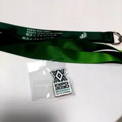 2025年最新】サウジアラビアピンバッジの人気アイテム - メルカリ