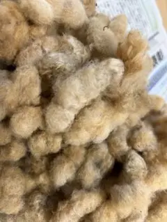 綿花(和綿) 茶色 糸紡ぎ用 100g