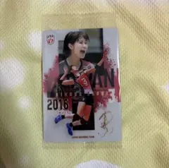 バレーボール女子日本代表 ツインウエハース 2026木村沙織