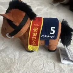 インディチャンプ 安田記念