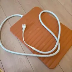 Item thumbnail for item 1409fcbf-00d5-4205-9308-ea73a3e0643d