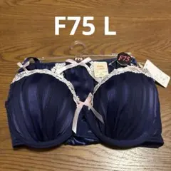 長期間保管品Lady rich ブラジャー ショーツ セット F75 Lのサムネイル