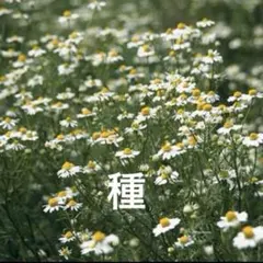 Reina M様 リクエスト 5点 まとめ商品