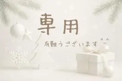 ✧新品未使用✧　IKEA　人気商品　トフトルンド、ヴィンテルフィントバッグ