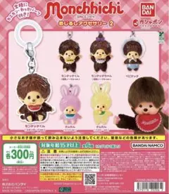 モンチッチ　めじるしアクセサリー2