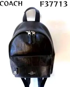 【美品】COACH コーチF37713 クロコ ターンロックロゴプレートリュック