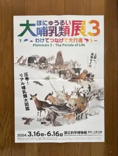 2025年最新】大哺乳類展3の人気アイテム - メルカリ