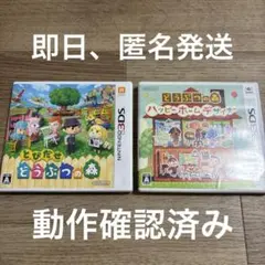 とびだせどうぶつの森 ハッピーホームデザイナー ニンテンドー3DS 任天堂