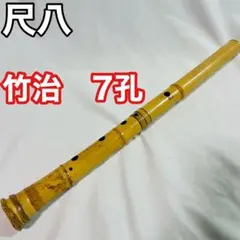 Item thumbnail for item a2830309-2695-4f06-aeaa-72b16eb8c42f