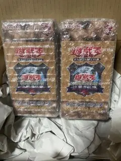 Item thumbnail for item a40e112a-2749-4433-8733-1a4585ba3fa7