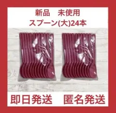 【新品未使用】サーティワンアイスクリーム　サンデースプーン　24本のサムネイル