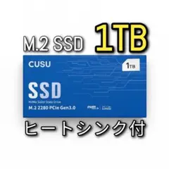 【新品未使用】CUSU M.2 SSD 1TB NVMe【ヒートシンク付】