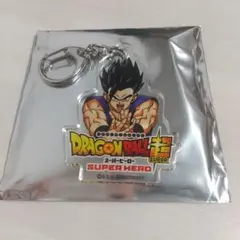 Item thumbnail for item ff6f9abc-6b04-4f5e-9b0e-dd180378613c