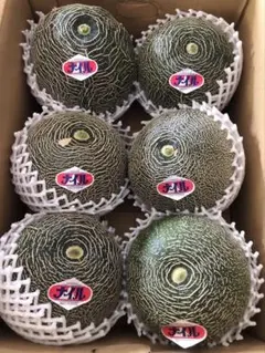 入荷しました！幻のメロン　ナイルメロン　2Lサイズ　5玉2箱　送料込み 入荷しました！幻のメロン ナイルメロン 2Lサイズ 5玉 送料込み - メルカリ
