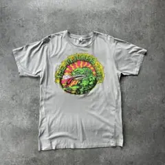 THE FLAMING LIPS】Tシャツ グレー×ピンク GILDAN S - メルカリ