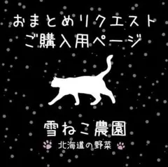 ゆう様 リクエスト 2点 まとめ商品（たけのこキャベツ＋春おでん大根）