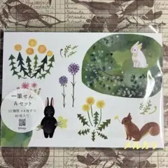 Item thumbnail for item 57babf78-5714-439d-95e0-828ed5d9c0aa