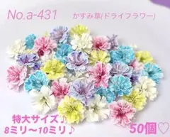 確認用ですNo.a-431かすみ草(ドライフラワー)特大♪8ミリ〜10ミリ50個
