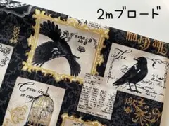 2m　Crow　カラス　鳥　パネル　ブロード　生地　布　黒　A19