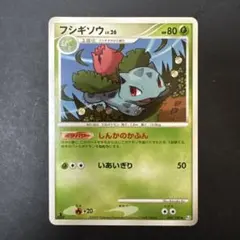 2026年最新】ポケモンカード フシギバナ 003/PCG-P プロモの人気