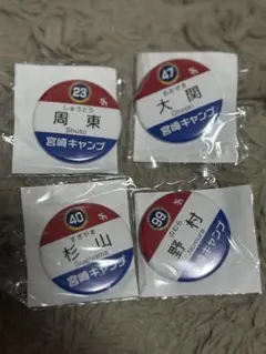 福岡ソフトバンクホークス 宮崎春季キャンプ 缶バッジ 海野 - メルカリ