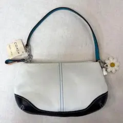 Coach Handbag Accessory Pouch Daisyのサムネイル