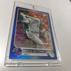 SEED様 リクエスト 2点 まとめ商品