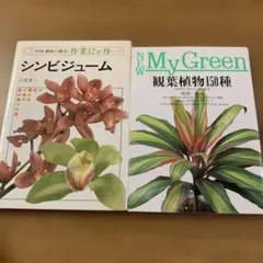 園芸専門書2冊セット シンビジューム 観葉植物150種のサムネイル