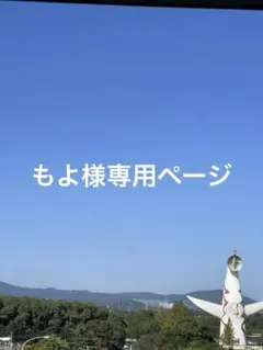 もよ様専用ページ