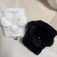 Item thumbnail for item 380d2890-873c-4d2f-abf4-9dd5a566e67b